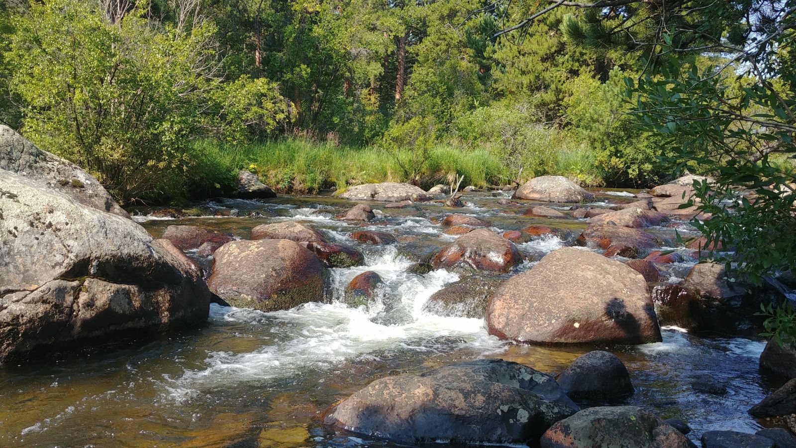 Colorado Mountain Stream image